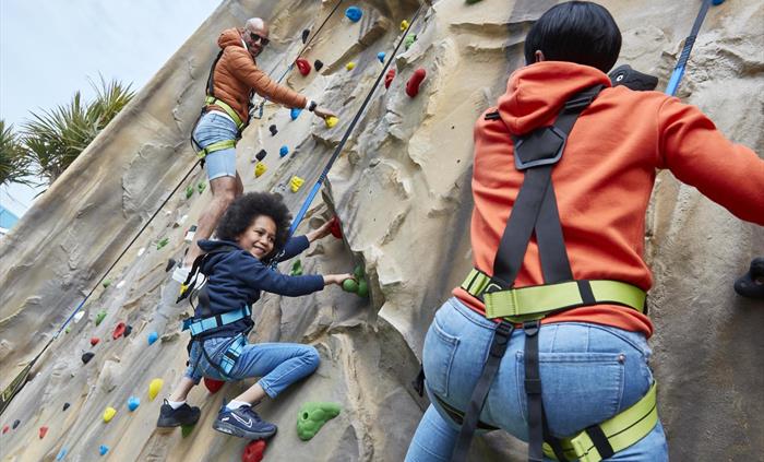 Rock Climbing Wall